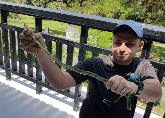 Maintaining clean aircon ledge